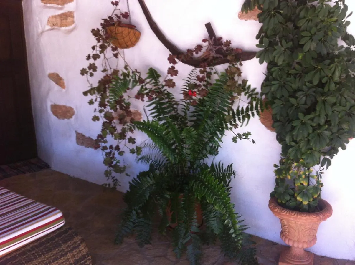 Casa Abuelo Rafael Guest House Llanos de la Concepcion